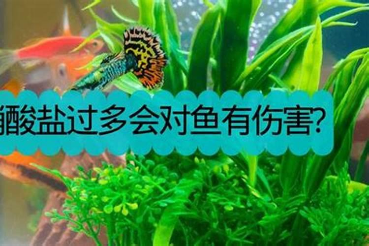 什么水草肥对鱼虾无害