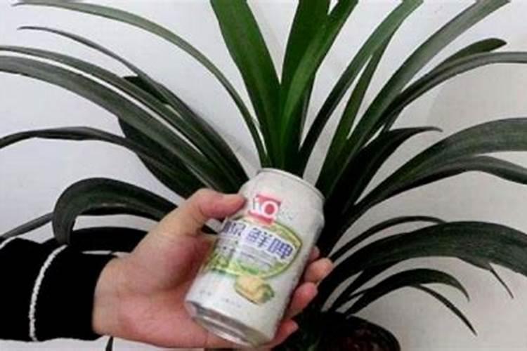 促进花芽分化的方法