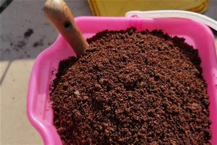 施肥用的菜籽饼发酵几天可以用