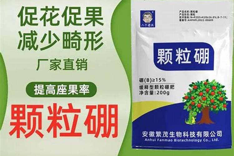 花菜是怎样种植的？什么时间种植？