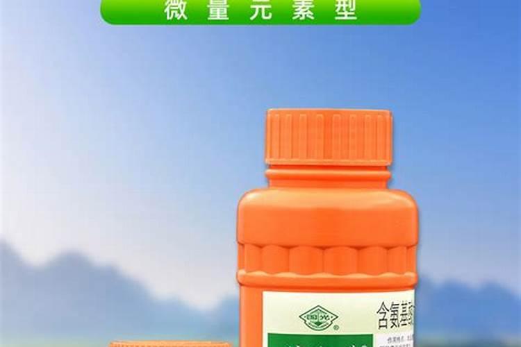 我的芒果树盆栽叶子掉完了这是怎么回事？怎么补救啊？