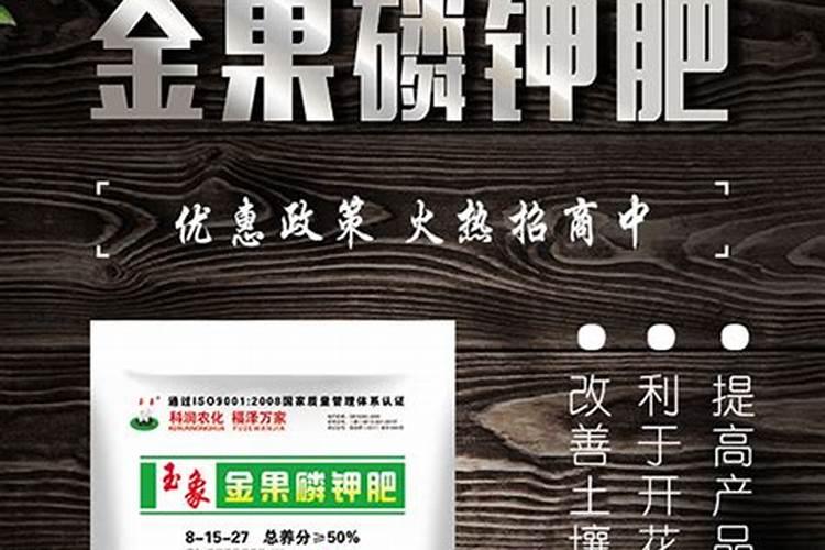 油菜叶面施肥时间及方法花卉百科