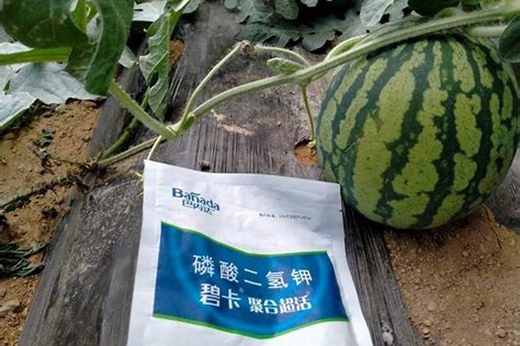 硅酸钾是什么东西？