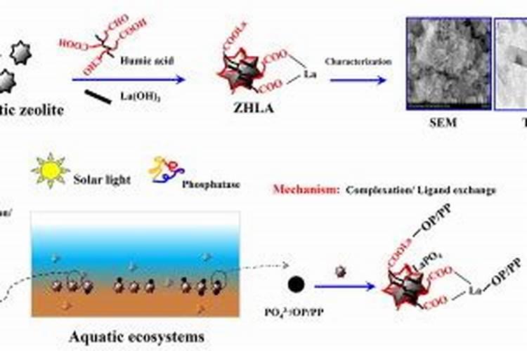 哪些地方适合开农村电商