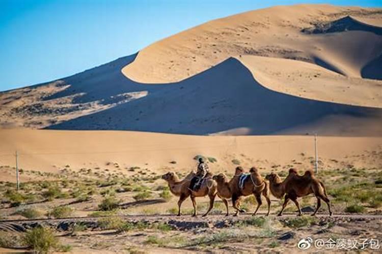 碳酸氢铵使用的方法