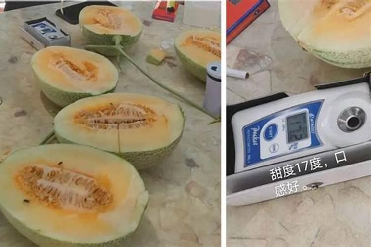 恶霉灵的使用方法