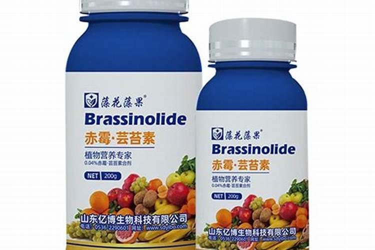 绿肥种植技术要点及需注意事项