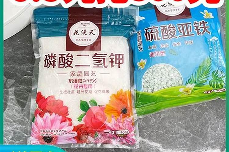 树上为什么会结果子
