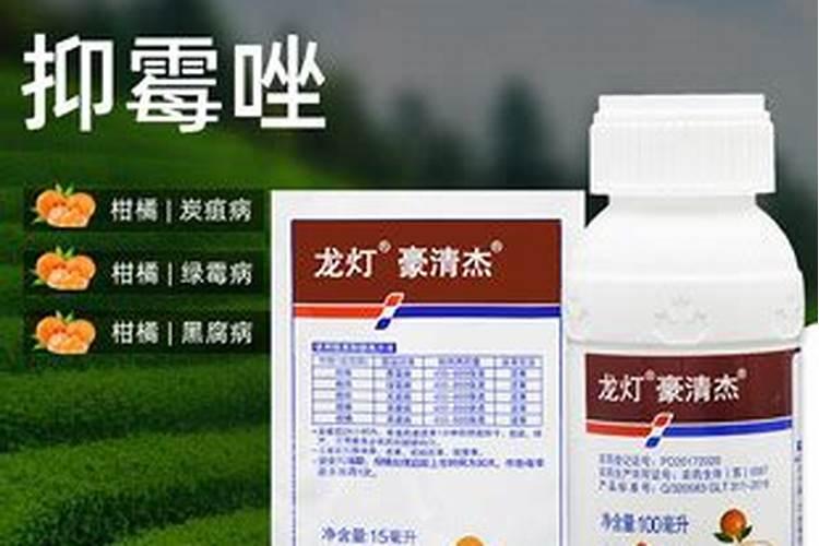樱花树有白粉病用什么样箹治疗