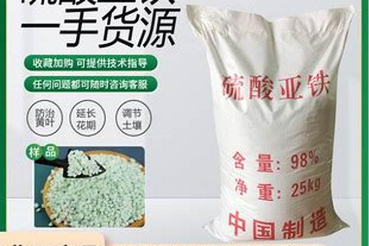 兰花上盆多久能晒太阳 兰花移盆后需要等待多久才能暴晒？