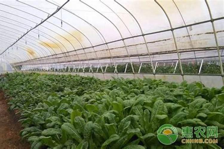 世界上有几十种不要吃有毒的植物呢？