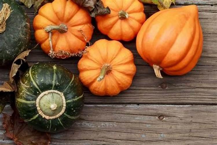 南瓜移栽后多久浇水肥