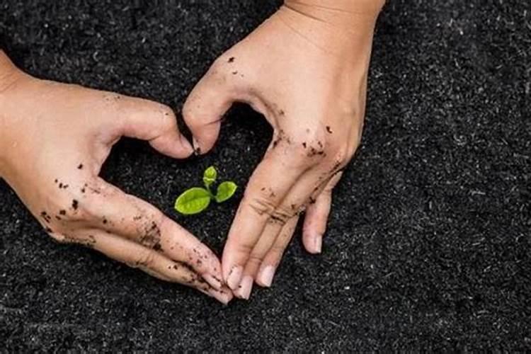 螺蛳壳粉碎后有什么用