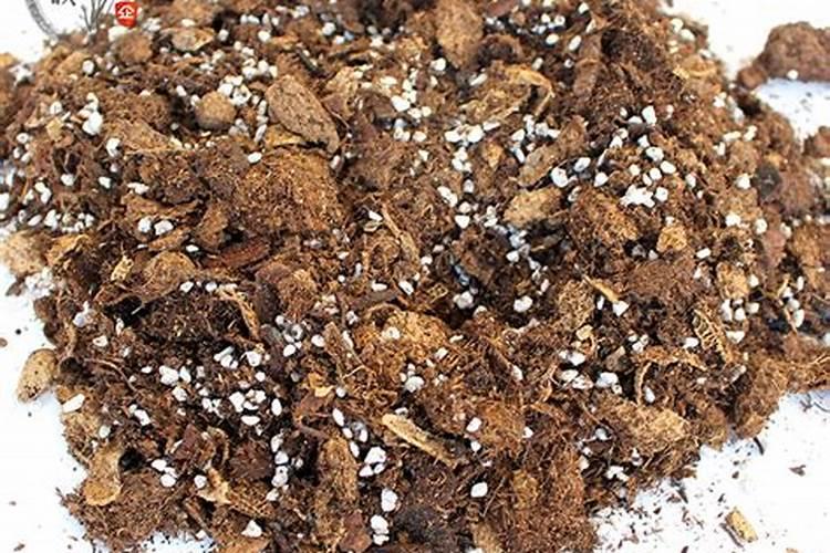 花生壳怎么做肥料