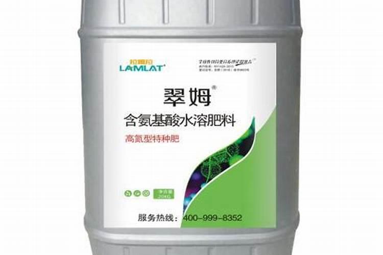 树莓可以盆栽吗？