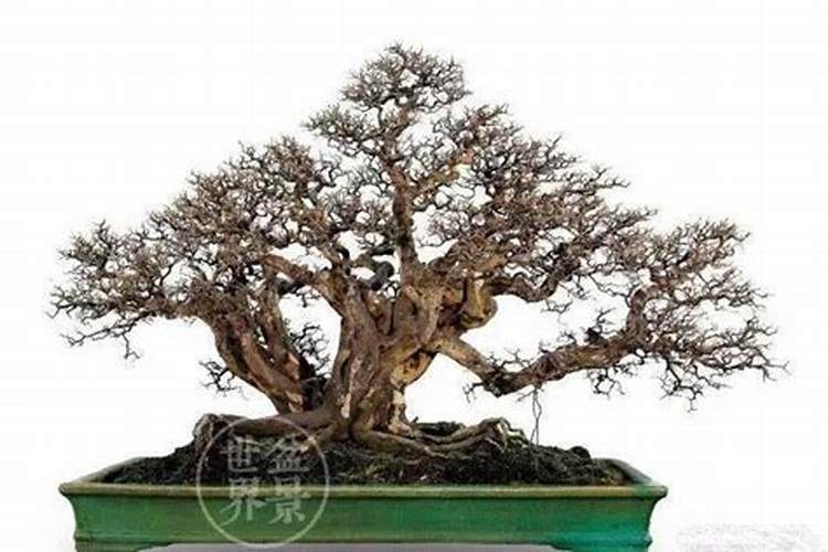 请问泸州老窖一桶天下酒 金禧福 浓香型白洒52度 一提六瓶 一箱多少钱...