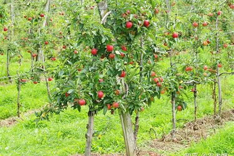 六十四卦的卦主是如何确定的？