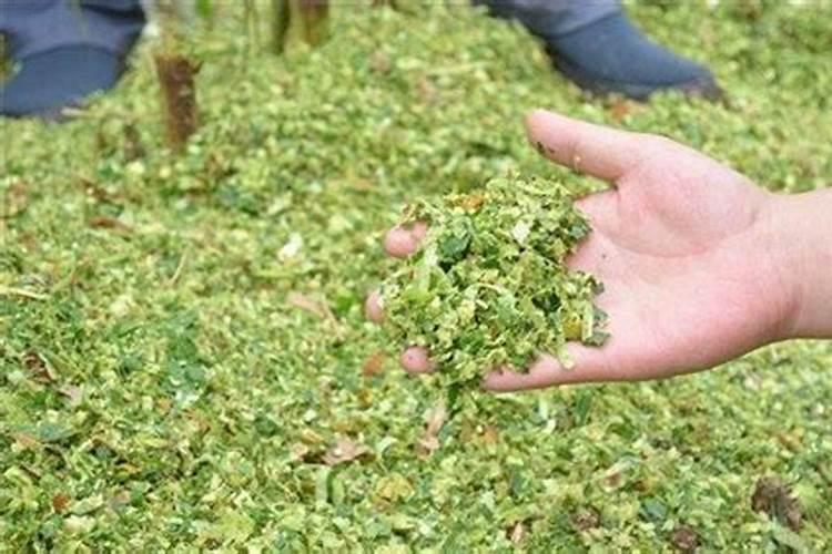 玉米秸秆还田地播种小麦还用上钾肥吗