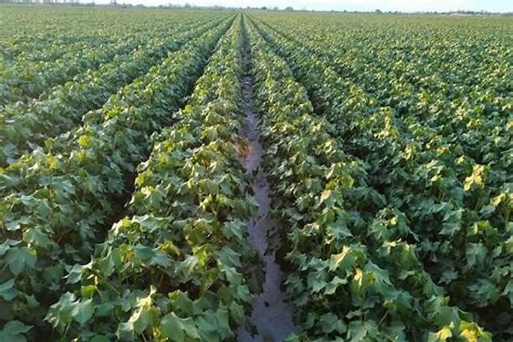 052D一坑四弹到底能装多少导弹？