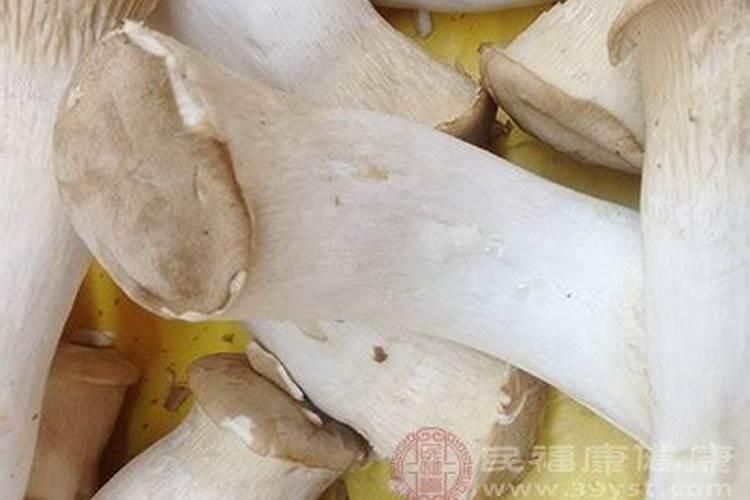 请问有机肥料分哪几种呢？