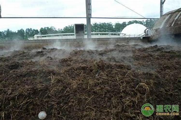 安徽省肥料公司有哪些