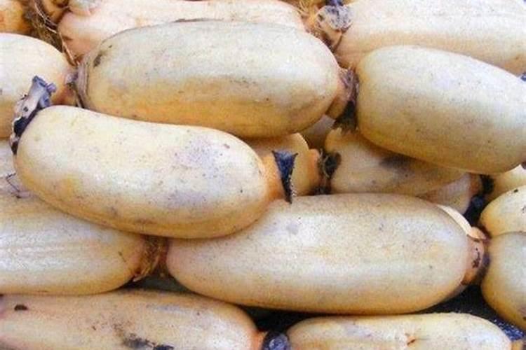 喷了磷肥多久喷钙肥