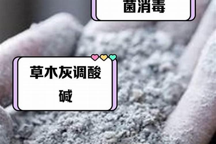 柑橘树专用肥料配方是什么？