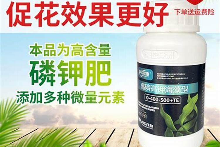 种小麦一亩地里须要多少化肥