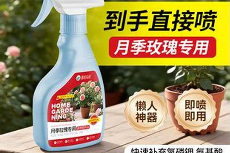 小麦打除草剂能加芸苔素吗