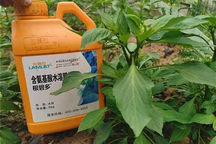 中国叶面肥十大品牌