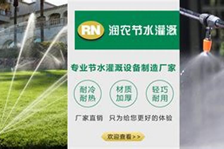花多多一号能喷竹芋科叶子吗