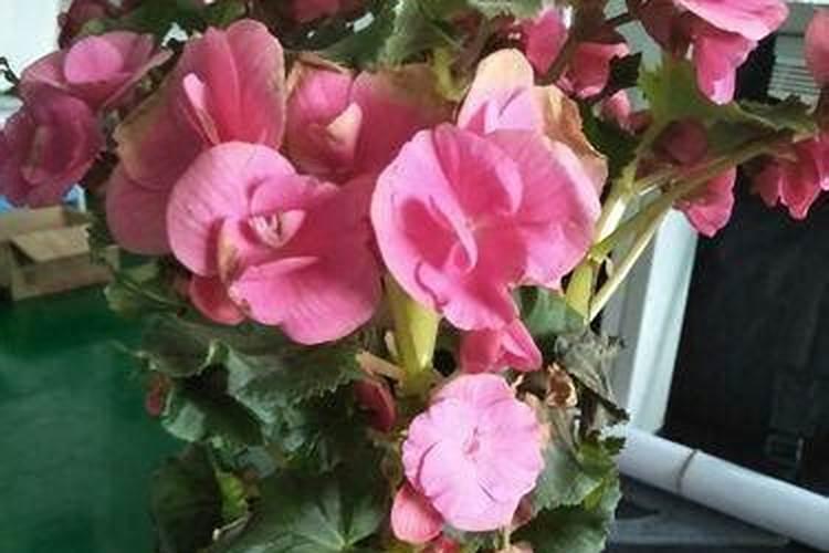 秦皇岛药源科技