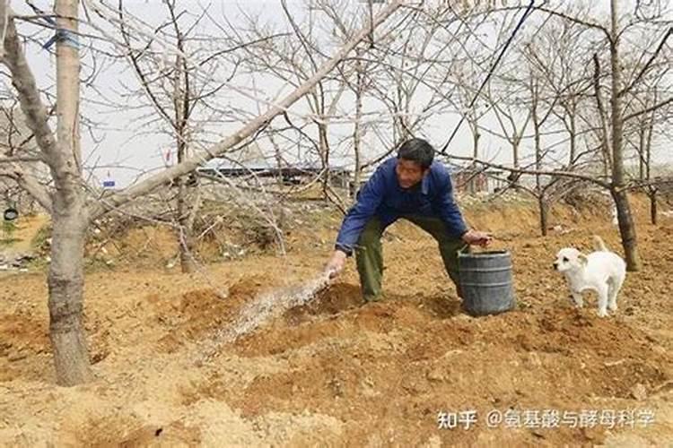 土壤施肥有哪些方法？