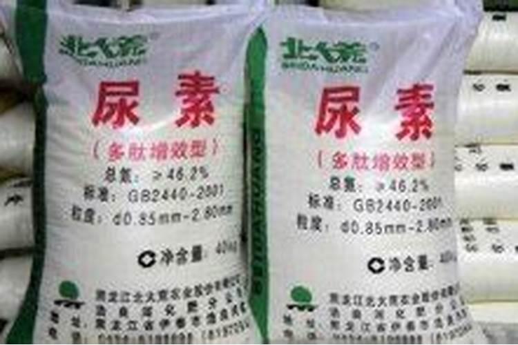 种菜用什么肥料最好