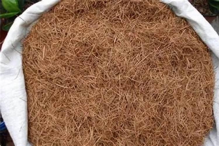 最简单的沤土沤肥方法