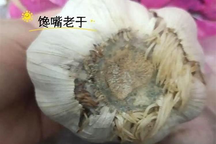 大蒜种植方法、施肥和防治重茬是关键