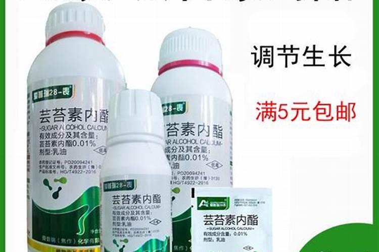 幼年荔枝树如何修剪