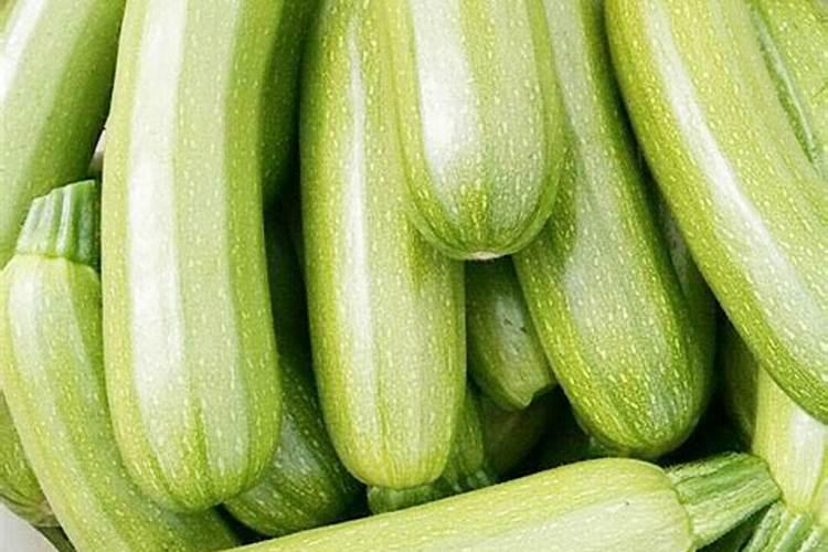 肥料知识:一张图告诉你植物缺什么肥