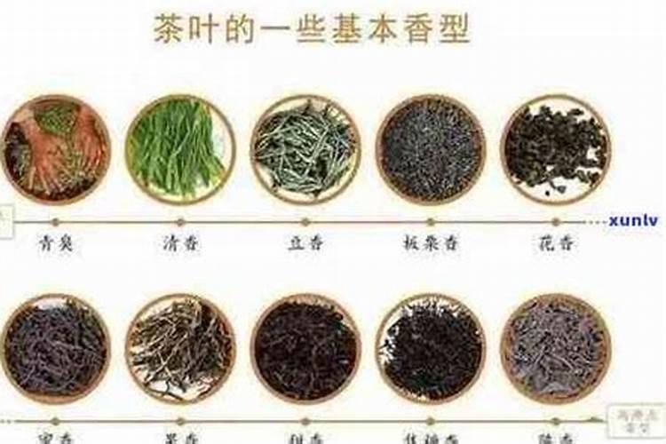 兰花专用缓释肥哪一个牌子的质量好