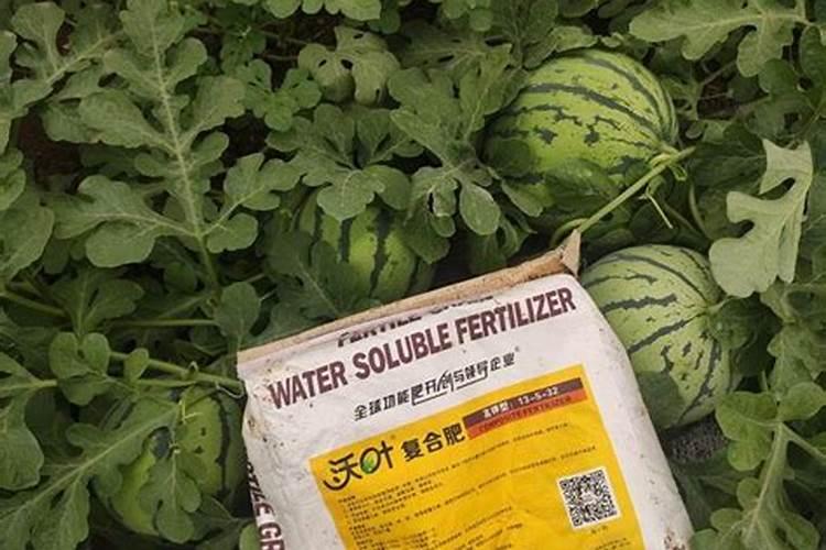 香蕉挂果的时候用什么肥料最好？