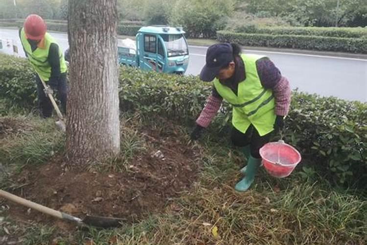 园林树木施肥应注意哪些问题
