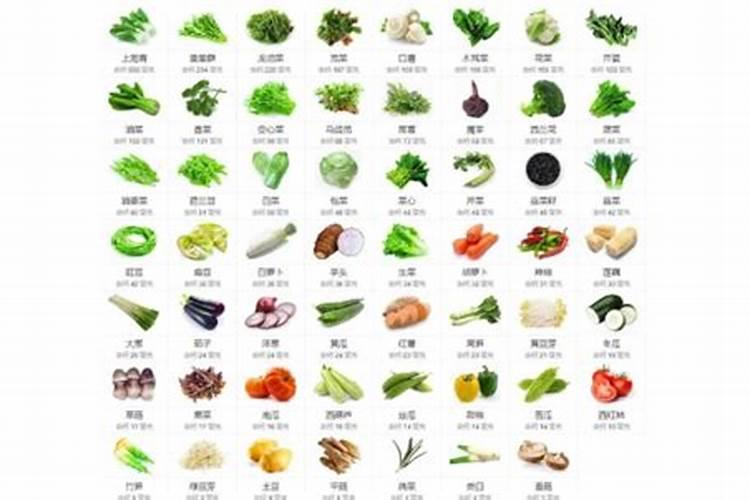 有机肥十大品牌有哪些推荐