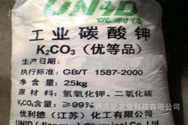 Zazo怎么走Zazo在哪里？