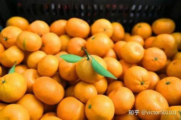 种植沙糖桔南丰蜜桔马水桔和金桔用什么叶面肥好？