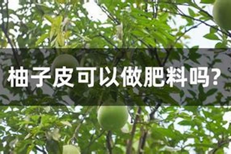 受过洪灾的茶树应该在根外追肥还是喷施叶面肥呢？为什么呢？