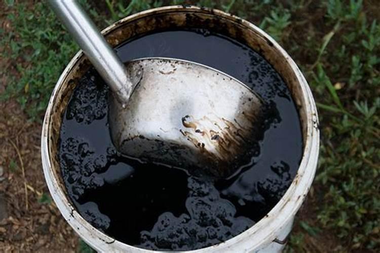 天凉了,快扦插3种花,7天生根,活了就开花!