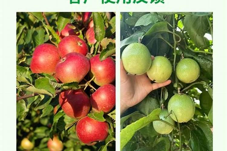 批量生产的工具