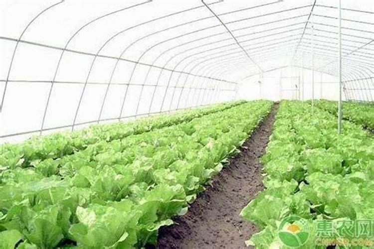 1岁宝宝怎么查微量元素  百度宝宝知道