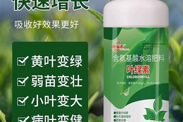 加佰加集团有限公司老总是谁