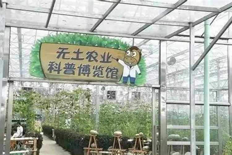 氨基酸水溶肥十大品牌